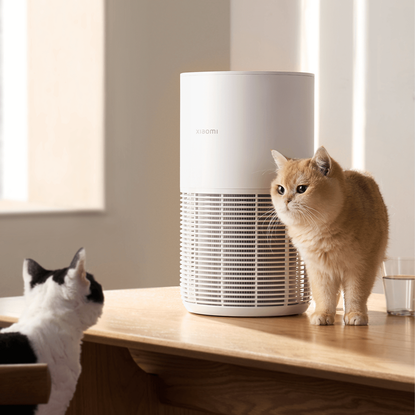 Xiaomi Smart Pet Care Air Purifier