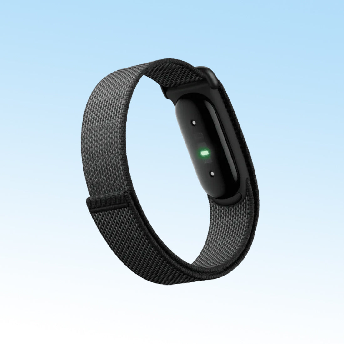 Google Fitbit Air