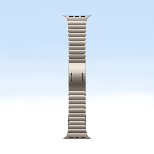 Apple Watch 38mm Link Bracelet