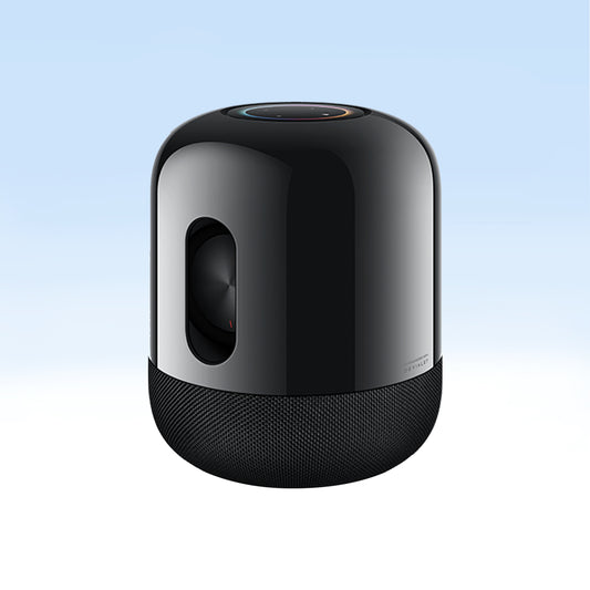 HUAWEI Sound X