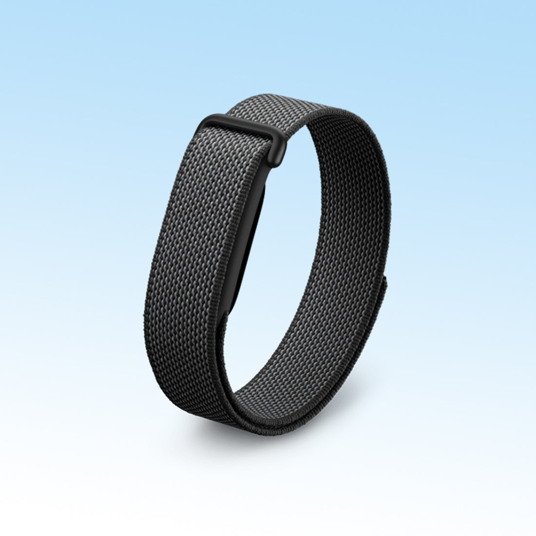 Google Fitbit Air