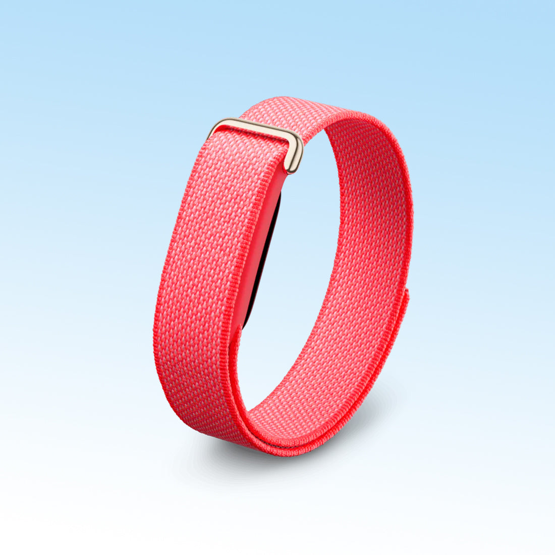 Google Fitbit Air