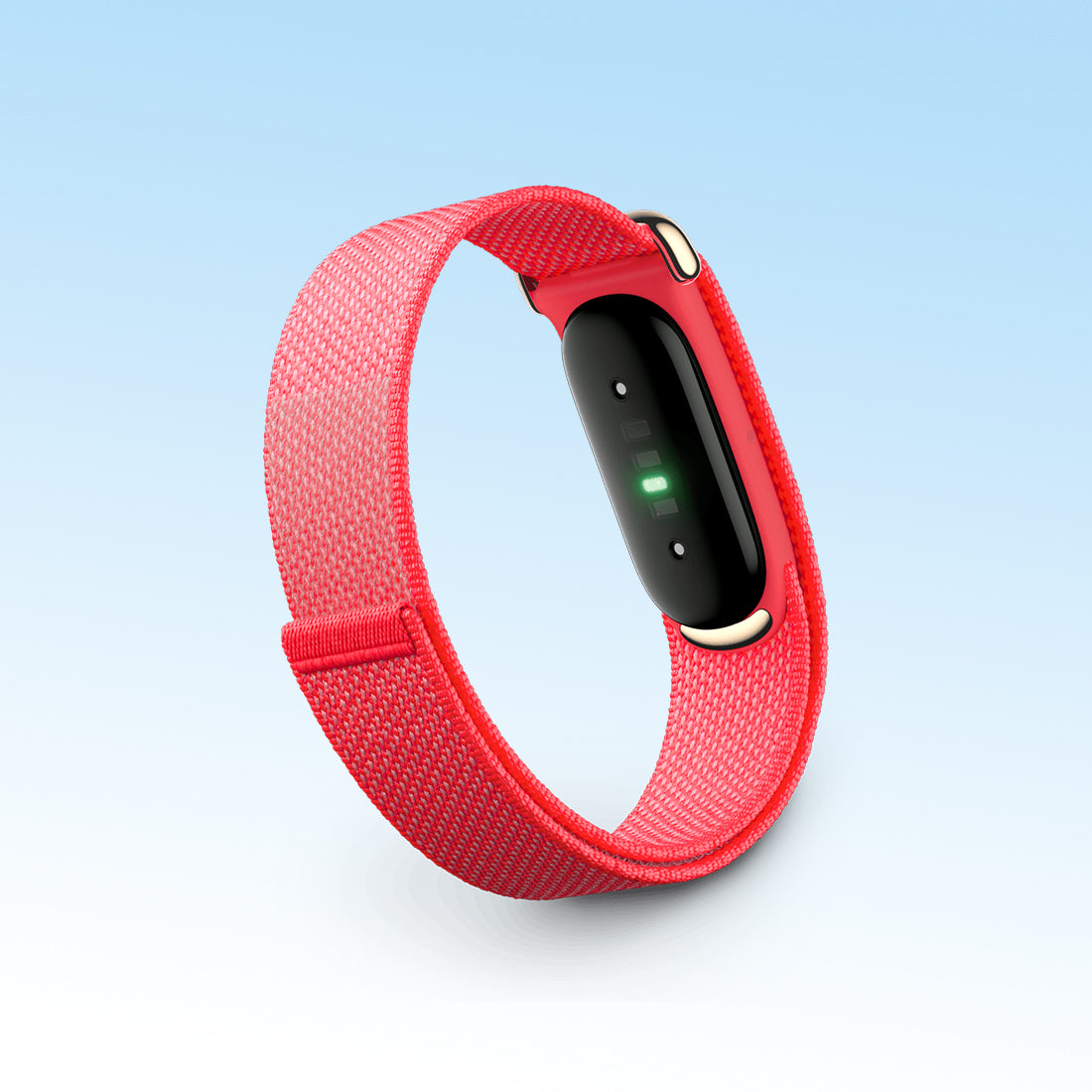 Google Fitbit Air